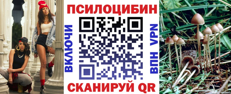 Галлюциногенные грибы GOLDEN TEACHER  купить наркотик  блэк спрут как зайти  площадка какой сайт  Куса 